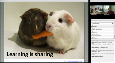 rattigheter_webbinar